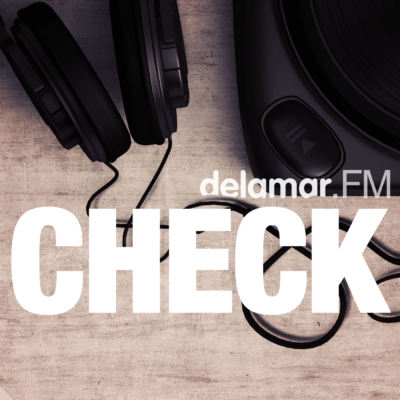 delamar Check Logo